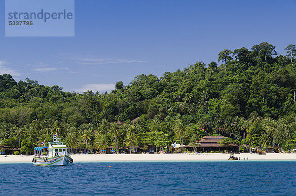 Palmenstrand  Insel Ko Hai  Ko Ngai  Trang  Thailand  Asien