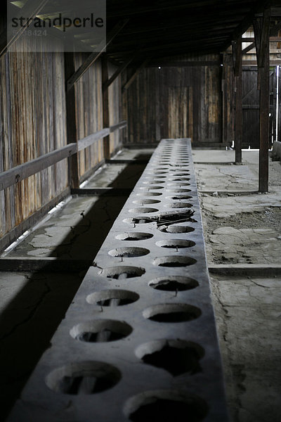 Toilettenraum im Vernichtungslager Auschwitz-Birkenau  Polen  Europa
