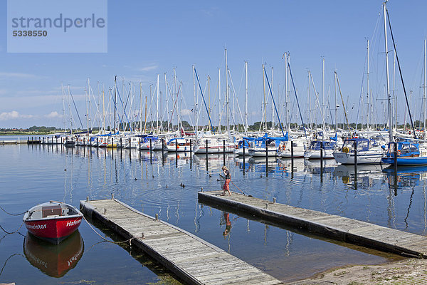 Yachthafen  Burgtiefe  Insel Fehmarn  Schleswig-Holstein  Deutschland  Europa  ÖffentlicherGrund