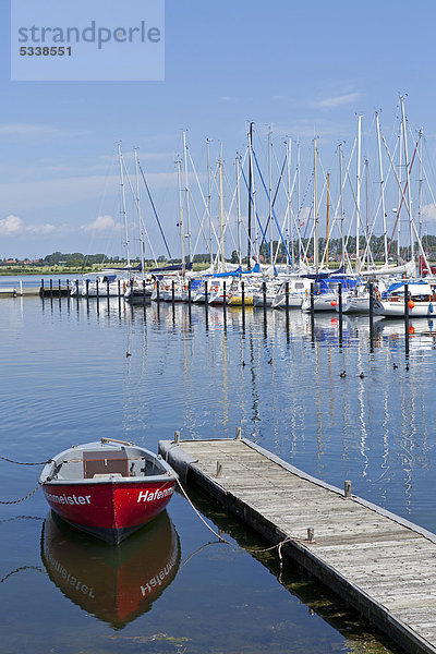 Yachthafen  Burgtiefe  Insel Fehmarn  Schleswig-Holstein  Deutschland  Europa  ÖffentlicherGrund