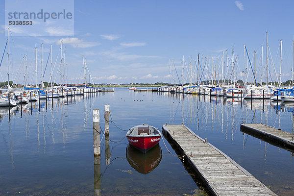 Yachthafen  Burgtiefe  Insel Fehmarn  Schleswig-Holstein  Deutschland  Europa  ÖffentlicherGrund