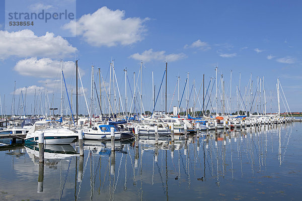 Yachthafen  Burgtiefe  Insel Fehmarn  Schleswig-Holstein  Deutschland  Europa  ÖffentlicherGrund