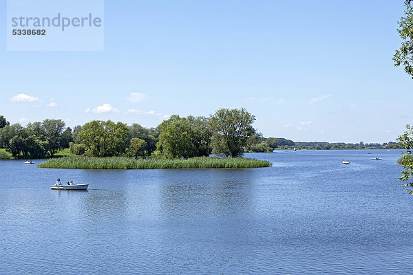 Boot auf dem Gartower See  Naturpark Elbufer-Drawehn  Niedersachsen  Deutschland  Europa