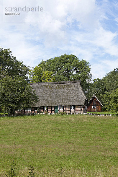 Lüneburger Heide Europa Deutschland Niedersachsen