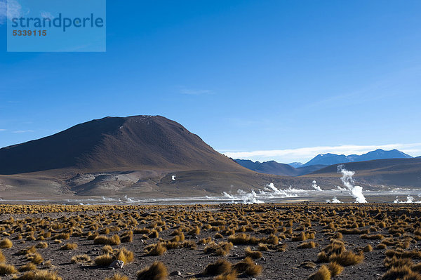 El Tatio Geysire  Atacamawüste Chile  Südamerika