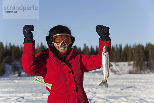 Junge Frau zeigt ihre gefangenen Regenbogenforelle  (Oncorhynchus mykiss)  Eisfischen auf einem zugefrorenen See  Yukon Territory  Kanada
