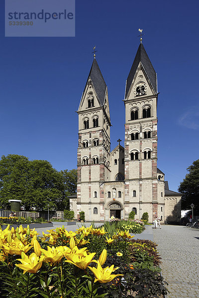 Die Basilika St. Kastor in Koblenz  Rheinland-Pfalz  Deutschland  Europa