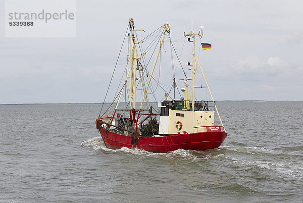 Fischkutter auf der Nordsee bei Spiekeroog  Niedersachsen  Deutschland  Europa
