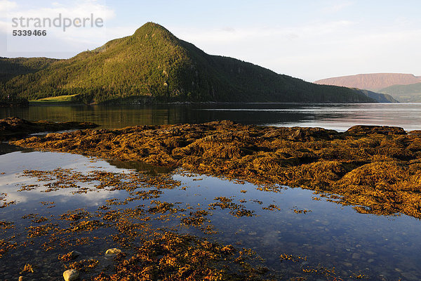 Sicht auf die Bonne Bay von Norris Point  Newfoundland  Neufundland  Kanada