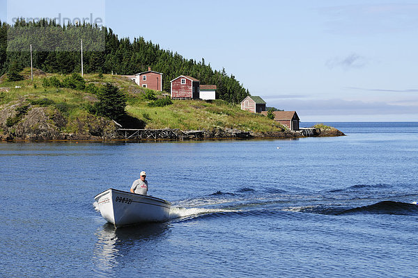 Fischer kommt mit seinem Boot vom Fischen  bei Twillingate  Newfoundland  Neufundland  Kanada