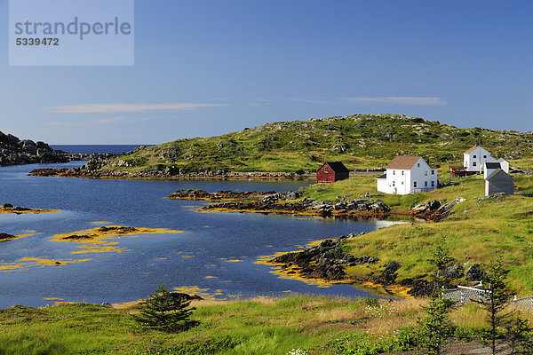 Fischerhäuser und Fjordlandschaft  bei Twillingate  Newfoundland  Neufundland  Kanada