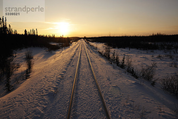 Bahnschienen der Zuglinie Winnipeg nach Churchill  Manitoba  Kanada