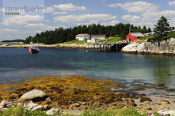 Atlantikküste in der Margarets Bay  Nova Scotia  Kanada