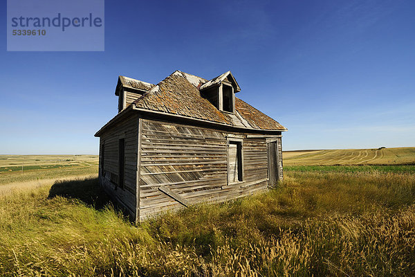 Zerfallenes Haus in der Prärie  Saskatchewan  Kanada