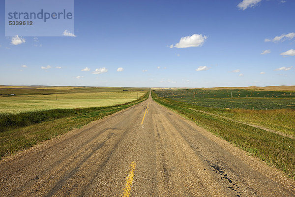 Schnurgerade Straße führt bis zum Horizont  Prärie  Saskatchewan  Kanada