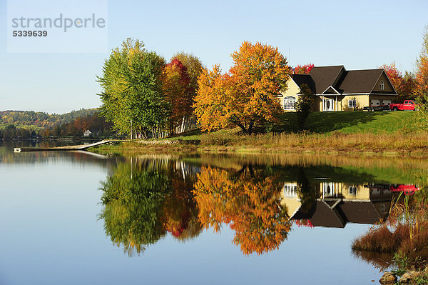 Herbststimmung  herbstlich gefärbte Bäume spiegeln sich im Wasser  Reserve faunique de Papineau-Labelle  Quebec  Kanada