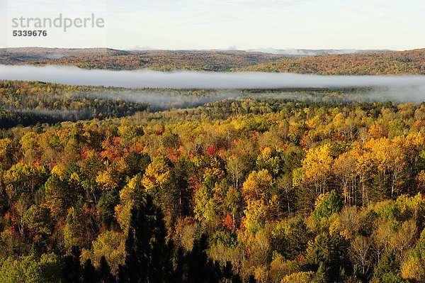 Farbige Herbstwälder von oben  Algonquin Provincial Park  Ontario  Kanada