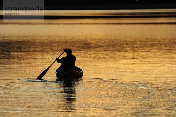 Paddeln mit Kanu auf einem See im Abendlicht  Algonquin Provincial Park  Ontario  Kanada