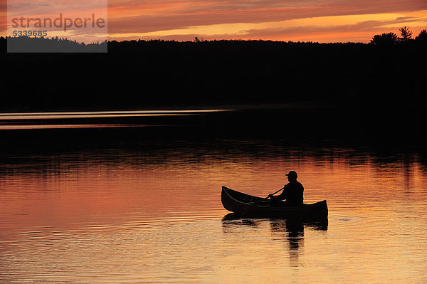 Paddeln mit Kanu auf einem See im Abendlicht  Algonquin Provincial Park  Ontario  Kanada