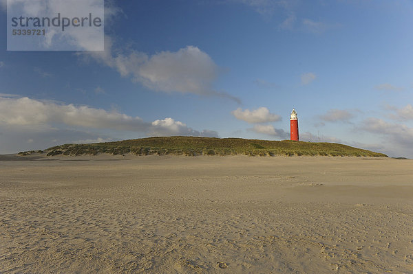 Leuchtturm auf Texel  Niederlande  Europa