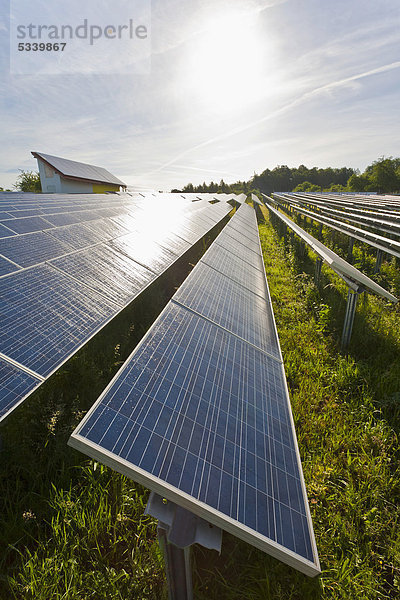 Solar-Panel  Solar-Module bei Winnenden  Solarstrom  Photovoltaik  Baden-Württemberg  Deutschland  Europa
