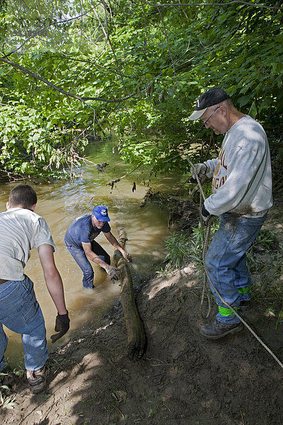 Freiwillige beim Beseitigen einer Blockade im Rouge River  im Rahmen der Rescue Rouge  einer jährlichen Bereinigung des Flusses und der umliegenden Feuchtgebiete durch freiwillige Helfer  Southfield  Michigan  USA