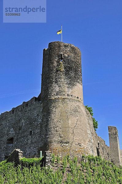 Burg Landshut in Bernkastel-Kues  Rheinland-Pfalz  Deutschland  Europa