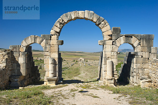 Torbogen  Tangertor  römische Ruinen  antike Residenzstadt Volubilis  Nordafrika  Marokko  Afrika