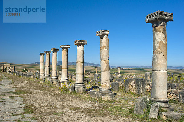 Säulen und Kapitelle  römische Ruinen  antike Residenzstadt Volubilis  Nordafrika  Marokko  Afrika
