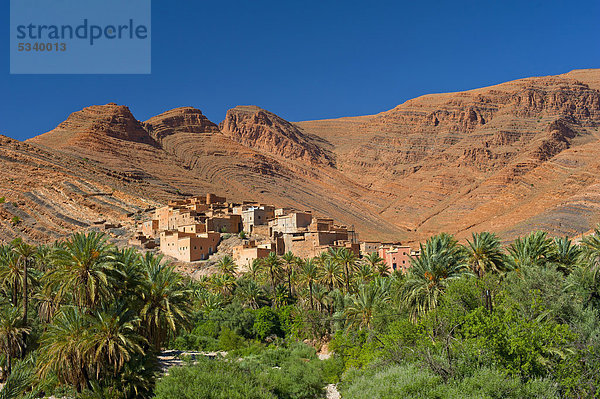 Kleines Berberdorf mit Palmenhain in einer spektakulären Gebirgslandschaft des Antiatlas mit interessanten geologischen Felsformationen  Ait Masour Tal  Südmarokko  Marokko  Afrika