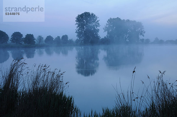 Blaue Stunde  Morgendämmerung an einem Fischteich in Thüringen  Deutschland  Europa