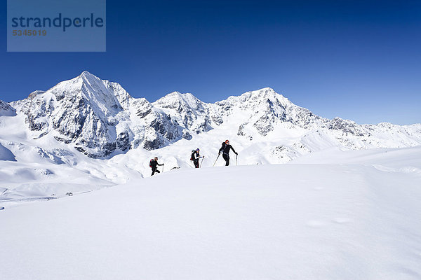 Skitourengeher beim Aufstieg zur hinteren Schöntaufspitze  Sulden im Winter  hinten die Königsspitze  der Ortler und Zebru  Südtirol  Italien  Europa