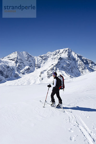 Skitourengeher beim Aufstieg zur hinteren Schöntaufspitze  Sulden im Winter  hinten der Ortler und Zebru  Südtirol  Italien  Europa