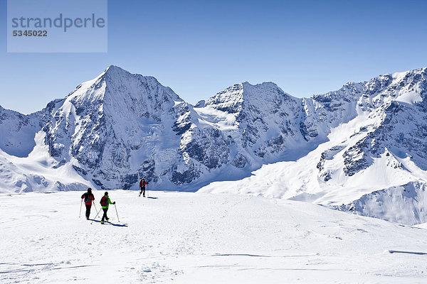 Skitourengeher beim Abstieg der hinteren Schöntaufspitze  Sulden im Winter  hinten die Königsspitze und der Zebru  Südtirol  Italien  Europa