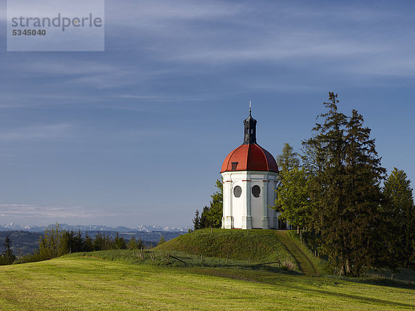 Buschelkapelle nahe Ottobeuren  Unterallgäu  Schwaben  Bayern  Deutschland  Europa