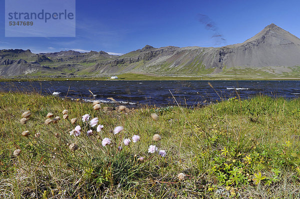 SnÊfellshalbinsel  Torfavatn  Island  Europa