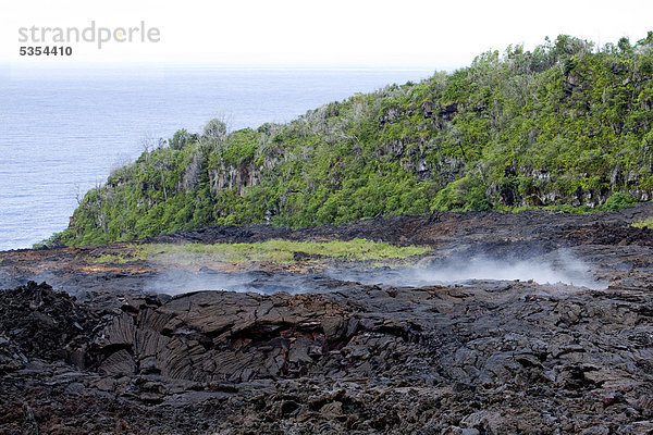 Nach einem Regenguss dampft der noch warme Lavastrom von einem Ausbruch des Vulkan Piton de la Fournaise im Jahr 2007 bei Piton Sainte-Rose  Insel La Reunion  Indischer Ozean