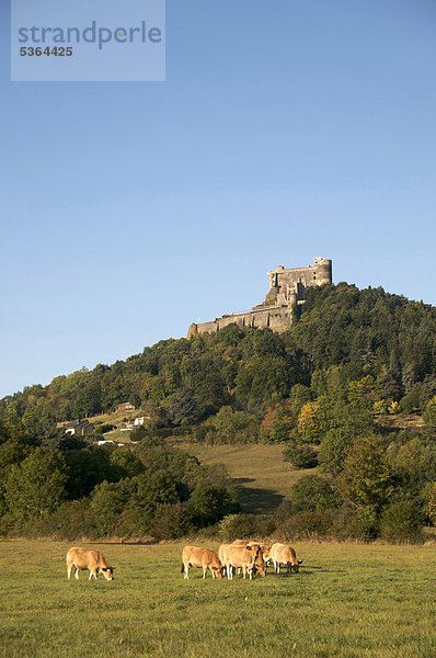Ch‚teau de Murol  Auvergne  DÈpartement Puy-de-DÙme  Frankreich  Europa