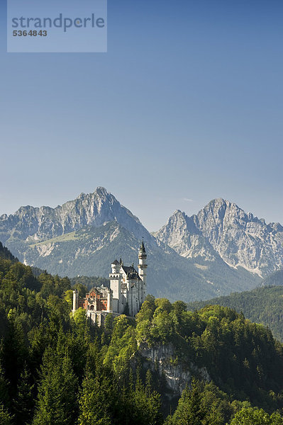 Schloss Neuschwanstein bei Füssen  Allgäu  Bayern  Deutschland  Europa