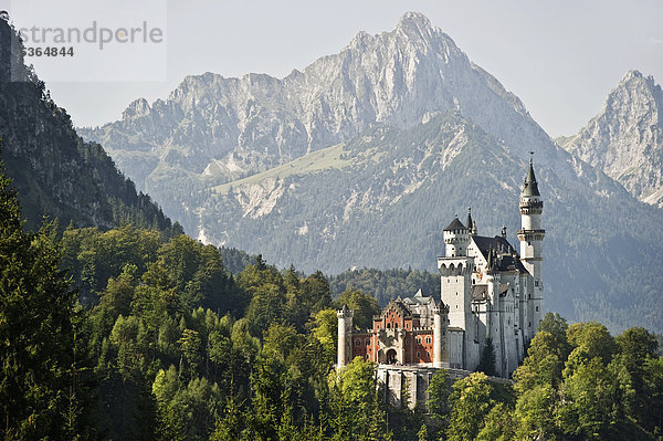 Schloss Neuschwanstein bei Füssen  Allgäu  Bayern  Deutschland  Europa