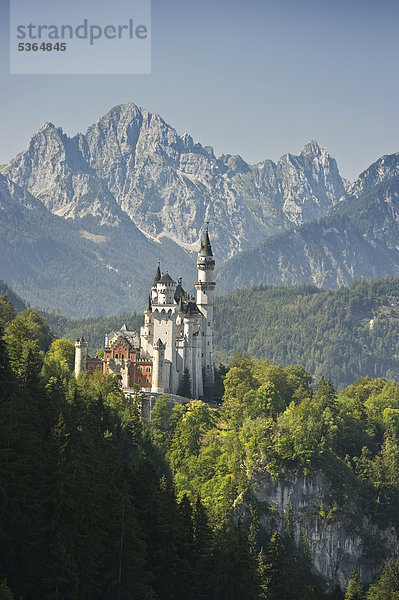 Schloss Neuschwanstein bei Füssen  Allgäu  Bayern  Deutschland  Europa