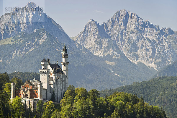 Schloss Neuschwanstein  bei Füssen  Allgäu  Bayern  Deutschland  Europa