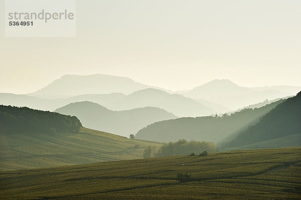 Landschaft bei Riquewihr  Elsass  Vogesen  Frankreich  Europa