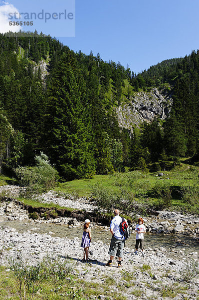 An der Lainlalm  Jachenau  Tölzer Land  Oberbayern  Bayern  Deutschland  Europa