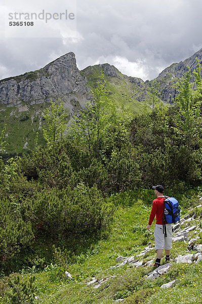 Bergsteiger auf dem Weg zum Stuiben  Alpspitze  Garmisch Partenkirchen  Wettersteingebirge  Oberbayern  Bayern  Deutschland  Europa