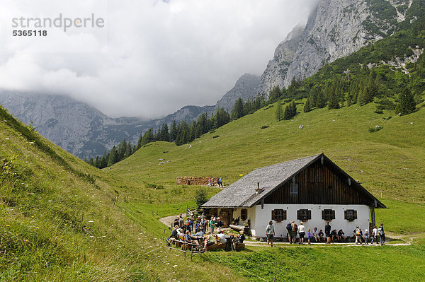 Auf der Halsalm  Berchtesgadener Nationalpark  Hintersee  Berchtesgaden  Oberbayern  Bayern  Deutschland  Europa