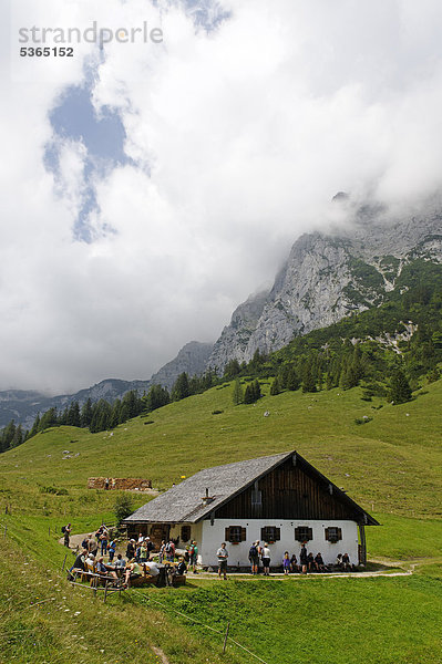 Auf der Halsalm  Berchtesgadener Nationalpark  Hintersee  Berchtesgaden  Oberbayern  Bayern  Deutschland  Europa