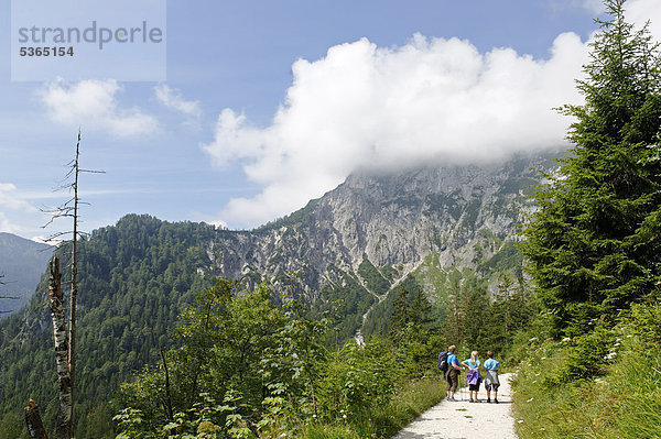 Wanderer unter der Reiteralpe  Berchtesgadener Nationalpark  Berchtesgaden  Oberbayern  Bayern  Deutschland  Europa