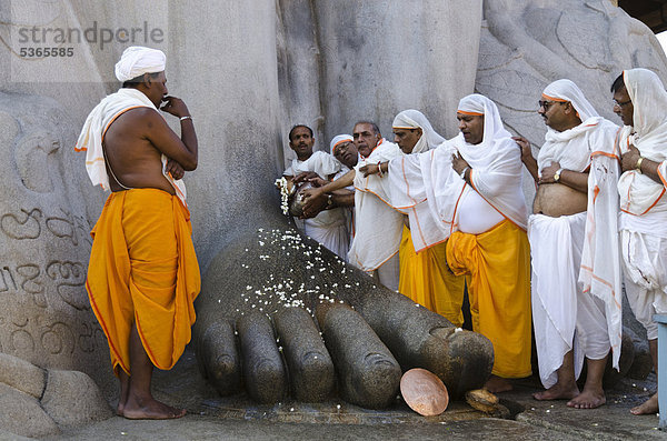 Gruppe von Jain-Pilgern beim Zelebrieren der Pooja oder Puja vor der Kolossalstatue von Gomateshwara um die Segnungen von Bahuabali durch die einheimischen Priester zu empfangen  Sravanabelagola  Karnataka  Indien  Asien
