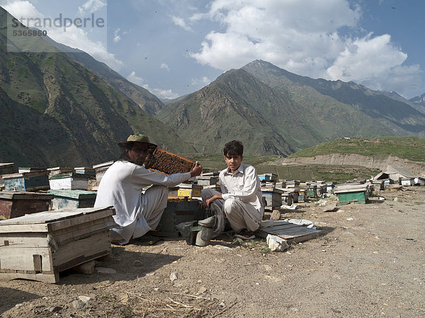 Einheimische produzieren auf traditionelle Weise Honig  in der Gegend südlich von Naran  Khyber Pakhtunkhwa Provinz  Pakistan  Südasien